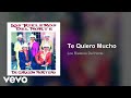 Los Rieleros Del Norte - Te Quiero Mucho (Audio)