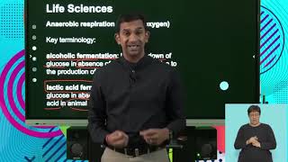 Life Sciences Grd 11 Revision Cellular Respiration S2