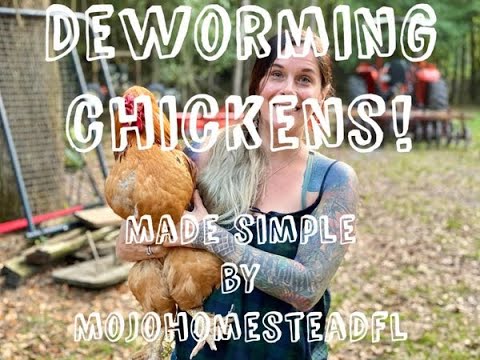 Deworming Chickens made SIMPLE!!  Using safeguard or Valbazen.