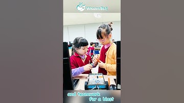 STEM Toys That Build More Than Robots