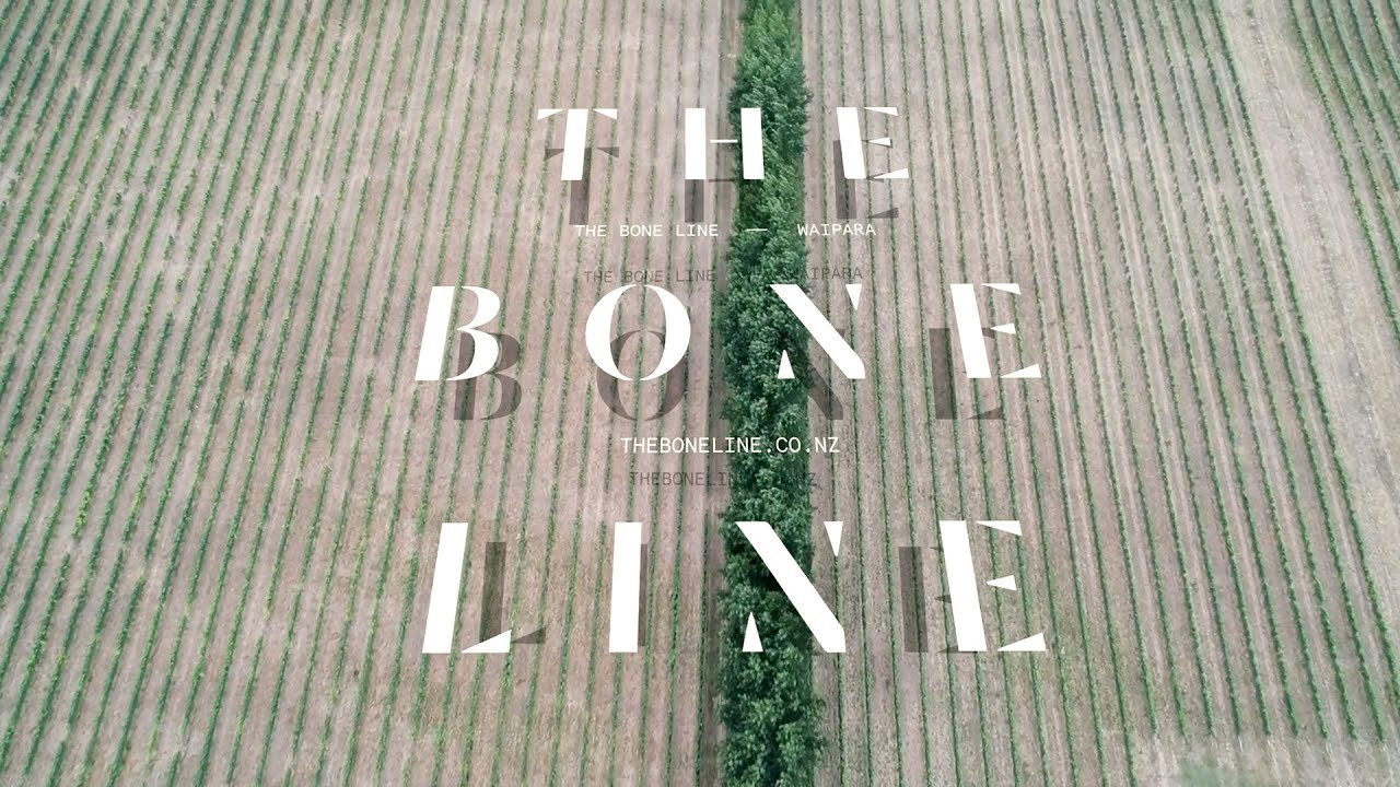 THE BONELINE - VINEYARD - WINERY - CELLAR DOOR