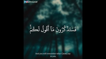 علي محمد زاهر ادريس - سورة غافر || فستذكرون ما أقول لكم