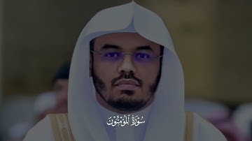«سورة المؤمنون» ياسر الدوسري سورة المؤمنون كامله #سورة_المؤمنون #ياسر_الدوسري