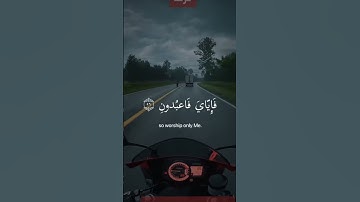 عبد الرحمن مسعد #عبدالرحمن_مسعد_تلاوة_جديدة