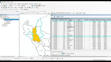 Filtra y Selecciona Información en ArcGIS Usando Tablas de Atributos (1/2)