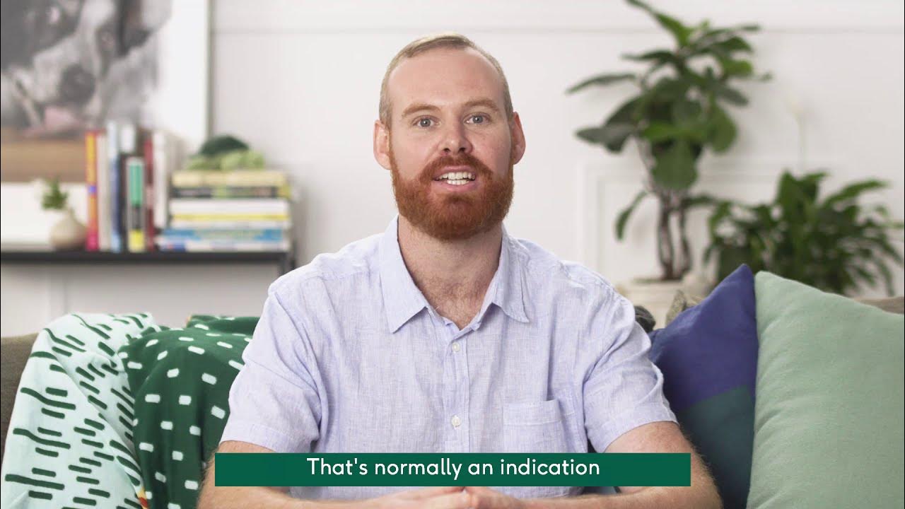 Why is my dog so gassy? YouTube