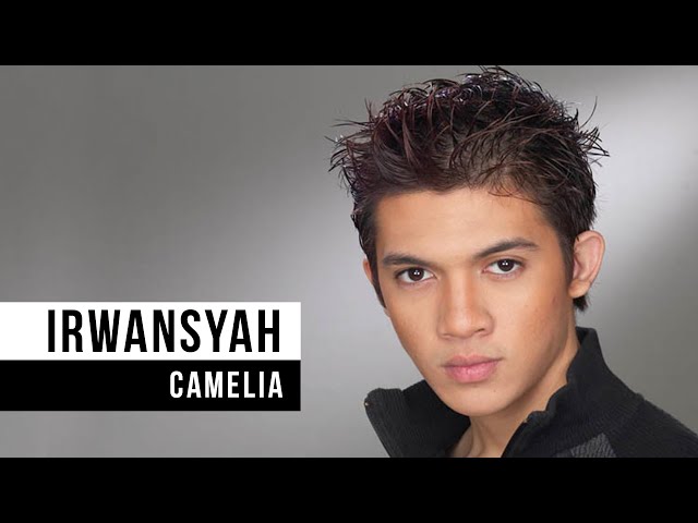 IRWANSYAH - Camelia (Official Music Video) class=