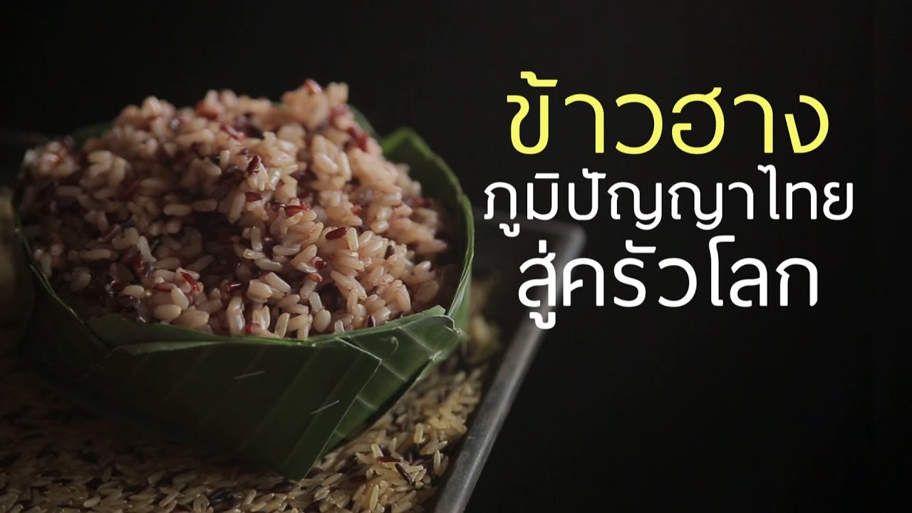 ข้าวฮาง มากคุณค่า ภูมิปัญญาไทย