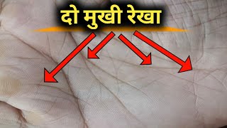 दो मुखी रेखा का अद्भुत रहस्य और कमाल। Do mukhi rekha(2 mukhi - Bifork line) #palmistry #astrology