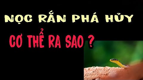 Nọc rắn phá hủy cơ thể ra sao ? KTMN