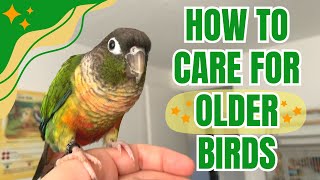 OLDER BIRDS AND HOW TO CARE FOR  THEM | BirdNerdSophie screenshot 1