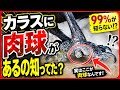 【カラスに肉球が？】知られざるカラスの脚の秘密をご存知であろうか？20260614、カラス＆四つ足クインテット（仮）