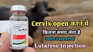 Lutalyse इजकशन क पशओ म कय उपयग ह पश क 72 घट म हट म लए और कय रख सवधन