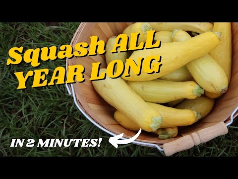 HOW TO BLANCH AND FREEZE SQUASH IN 2 MINUTES | The Galloway Farm