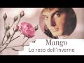 Pino Mango - La Rosa Dell&#39;Inverno  (video omaggio al grande cantautore italiano)