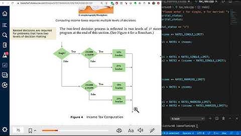 Nested conditonal branches (if/ese) - Ioana Fleming