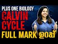 Plus One Biology | Photosynthesis in Higher Plants - Calvin Cycle | Important Question | Exam Winner