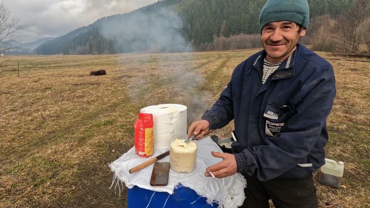 Buls La Baciul POMPI din Zărnești .BRASOV 