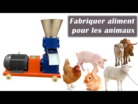 Vidéo: Broyeurs à Grains Vortex : Caractéristiques Des Broyeurs De Grains Et D'aliments, Tamis Et Pièces De Rechange. Comment Utiliser? Avis Des Clients