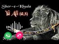 MAULA ALI MOBILE RINGTONE STATUS 🌹🌷| HAR SU SADA E HAIDRI YA ALI ALI ALI #short #video #status #reel