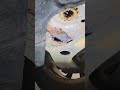 2016 Ford Focus MOT fail rusty subframe