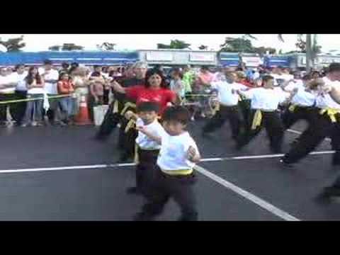 Lee Koon Hung - Grand Opening Ceremony - Tai Chi G...