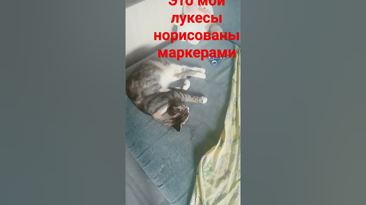 а в конце кошка маня милая ли?