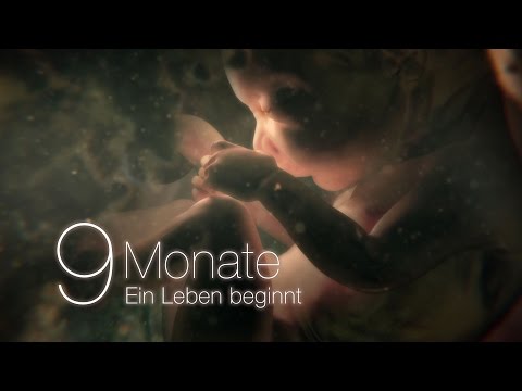 Video: Leben 9 Monate vor der Geburt