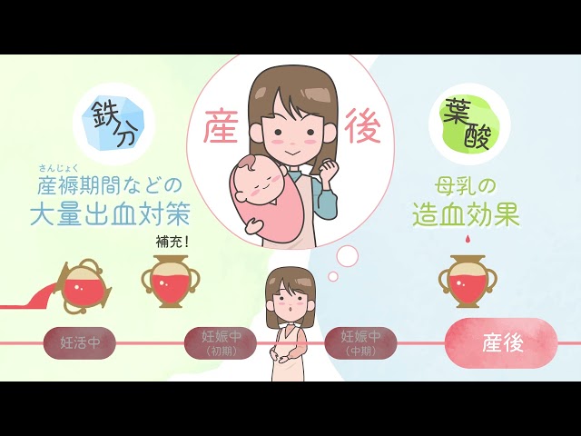 妊婦さんの「鉄分・葉酸の必要性」とチーズDE鉄分