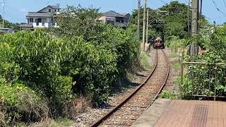 【車内がカオス】銚子電気鉄道デハ2000系2002編成「ピンクニュージンジャー」号犬吠停車