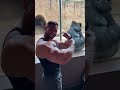 Gorilla Copies Bodybuilder’s Workout Behind the Glass! 😂💪 | Funniest Zoo Moment Ever