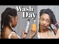 Wash Day + TIPS | D.I.Y Microlocs