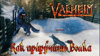 Valheim Гайд ► Как приручить волка ► Где найти элитного волка ► Волк vs Тролль