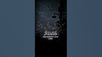 قرآن كريم أرح سمعك quran #قران_كريم #quran #تلاوات_خاشعة #راحة_نفسية #islam #viral