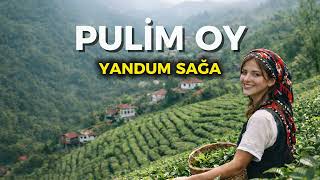 Pulim Oy Eğlenceli Karadeniz Türkü Cover