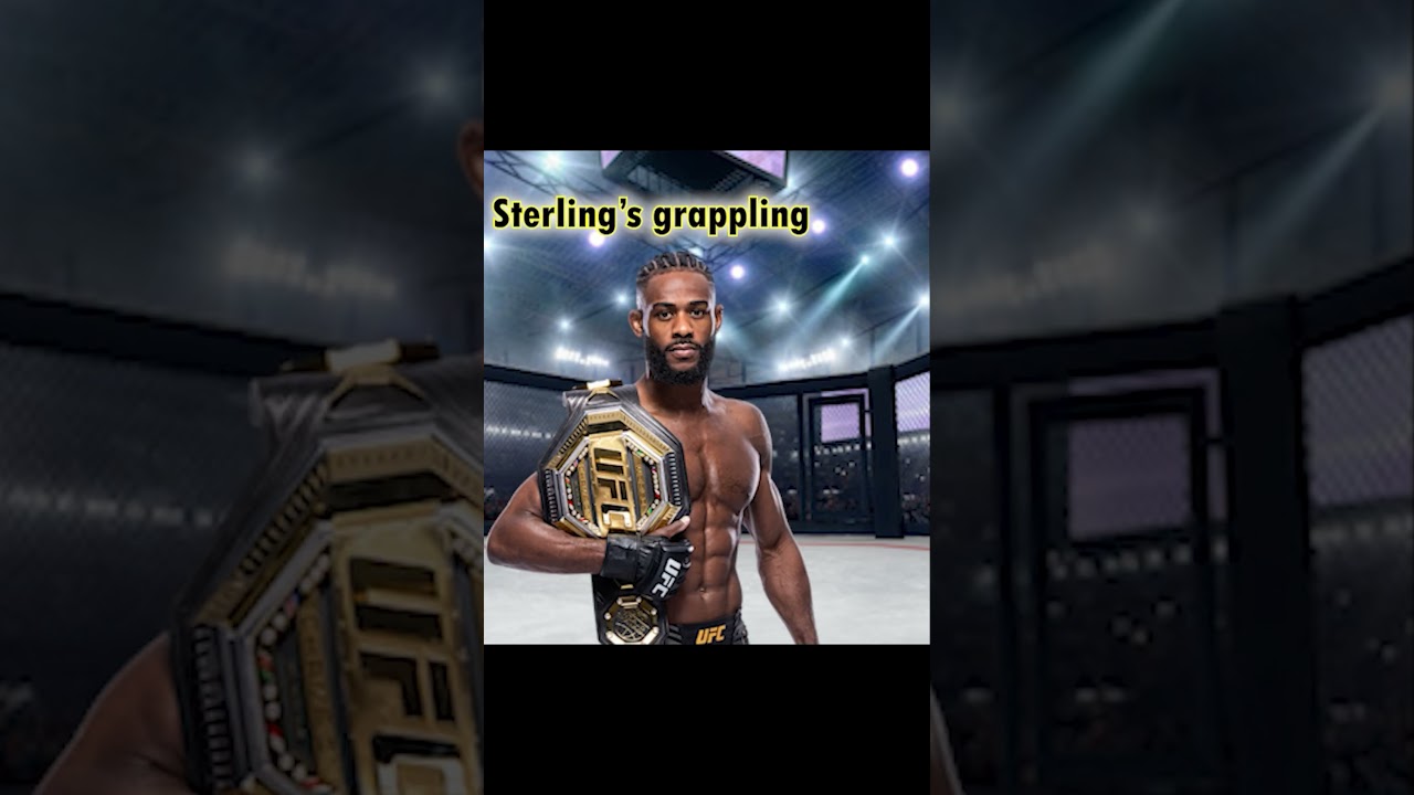 UFC 292 FIGHT CARD PREDICTIONS 