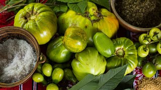 Harvest Pickle | Green Tomato Pickles - Easy Recipe by Homevert Homesteader 145 views 4 months ago 18 minutes