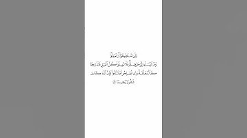 صلاة التراويح ليلة ٧ رمضان ١٤٤٥هـ سورة النساء الآية ١٢٩ الشيخ الوليد الشمسان