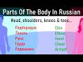 Russian Lesson 62: Parts of the Body in Russian
