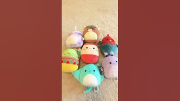 My mini squishmallow collection! #squishmallows #comedy #shorts #relatable #trend #viral #squishys