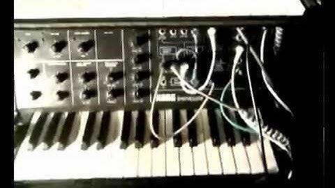 2 X KORG MS 10