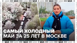 7 мая 2024 года стало самым холодным в Москве за последние 25 лет - Москва 24