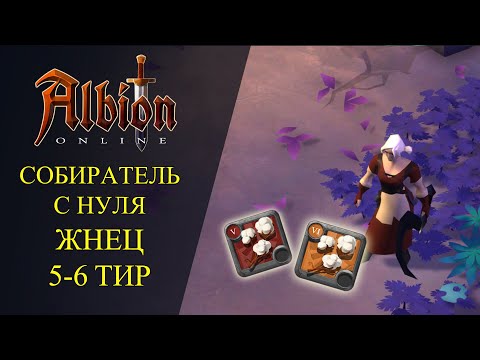 Видео: 🔴Albion online : 🔥СОБИРАТЕЛЬ С НУЛЯ - ЖНЕЦ 🔥 5-6 ТИР