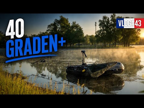 Carp Fishing During an Extreme French Heatwave