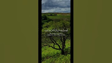 سورة يونس || الشيخ ياسر الدوسري #quranismylife #quran