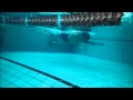 Total immersion freestyle aj kim korean stroke bilateral breathing