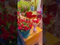 ফুল যার পতি মানুষের অফুরন্ত ভালোবাসা..❤️💝🌹🥀💐⚘️