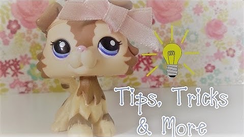 How to make a good Lps video!