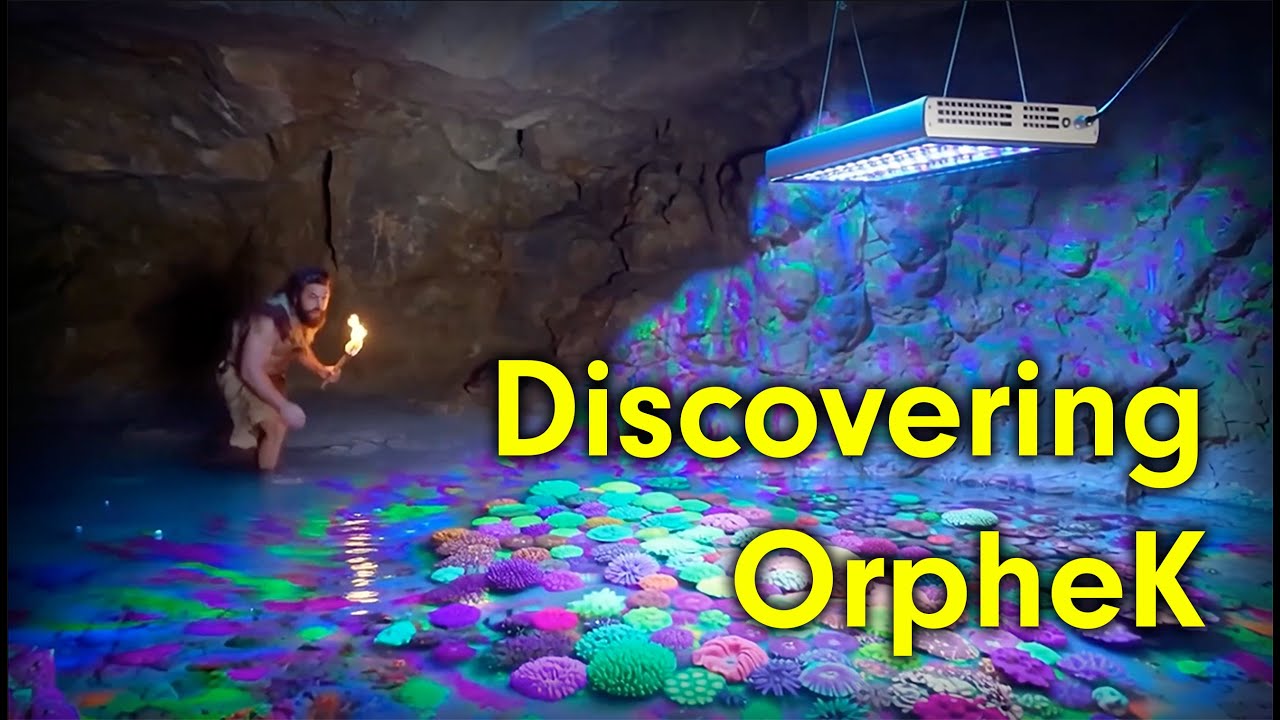 Откройте для себя Orphek — лучшее освещение для вашего рифового аквариума.