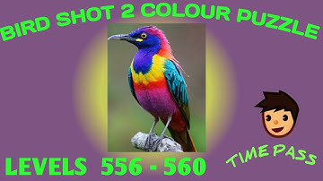Bird sort 2 colour puzzle 🐦level 556-560#birdsortcolorpuzzle#birdshort#birdpuzzle#puzzlegame